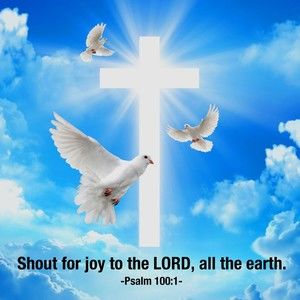 Meet your Posher, Marie h